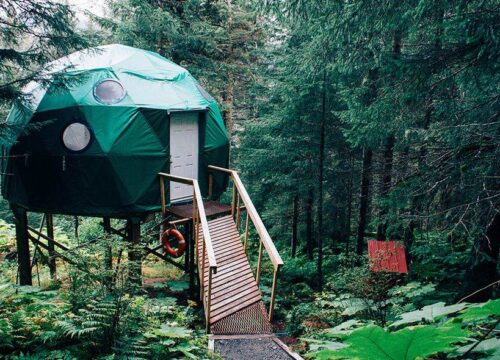 2-3 Days Tarangire National Park Safaris